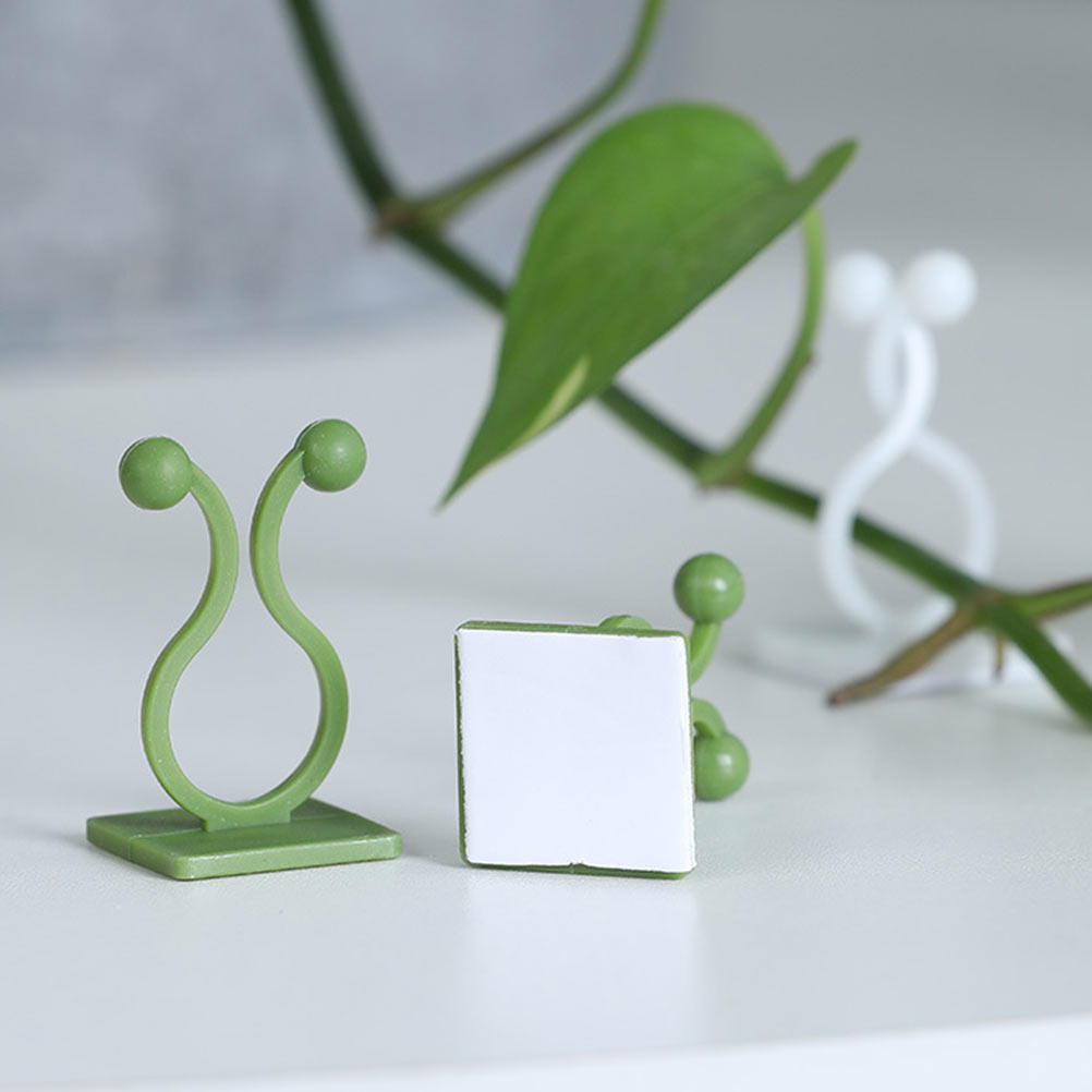 80Pcs Plant Climbing Fixture H - đánh giá và giá Pothos