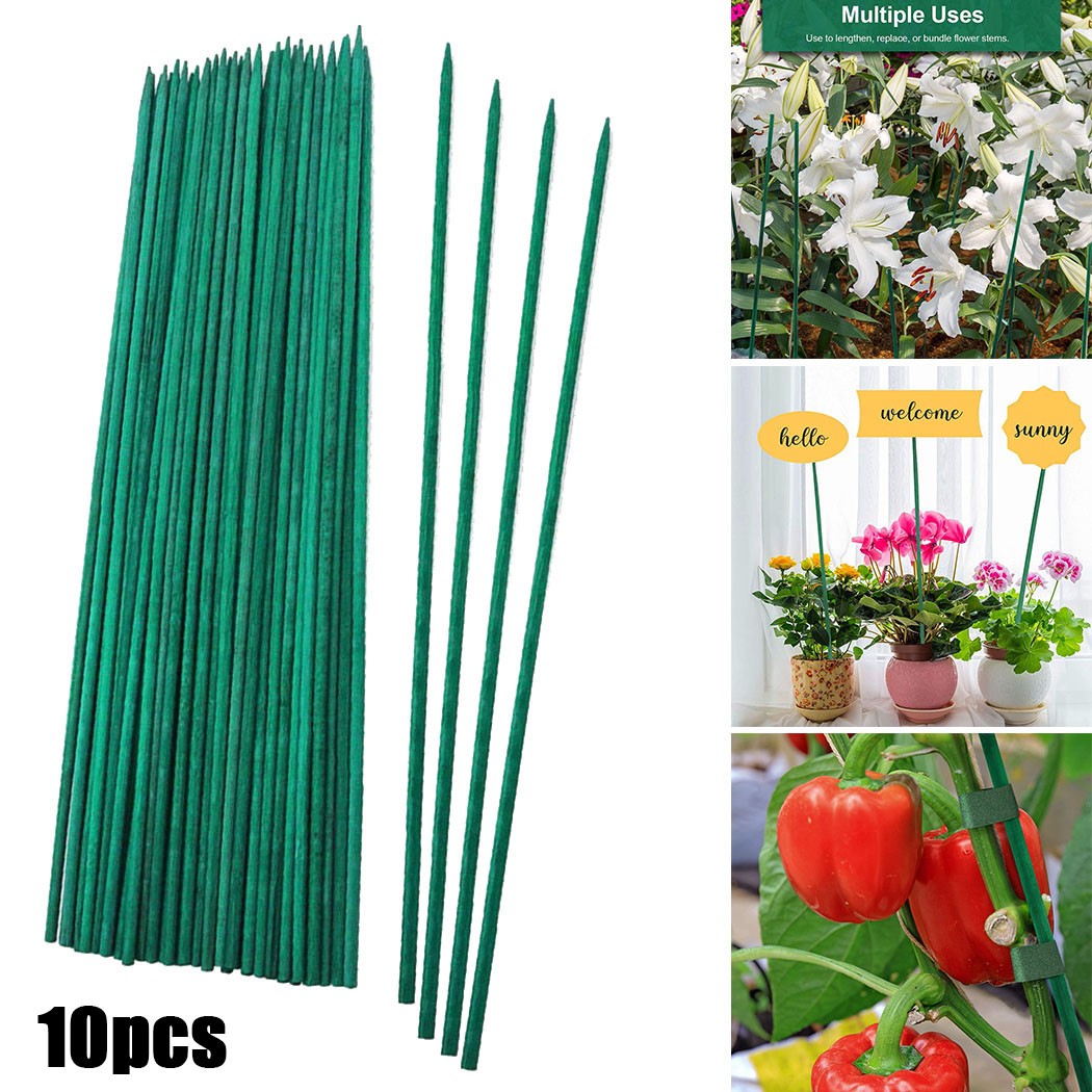 10 Chiếc 40Cm Xanh Vật Có Hỗ T - đánh giá và giá Plant Support Stake