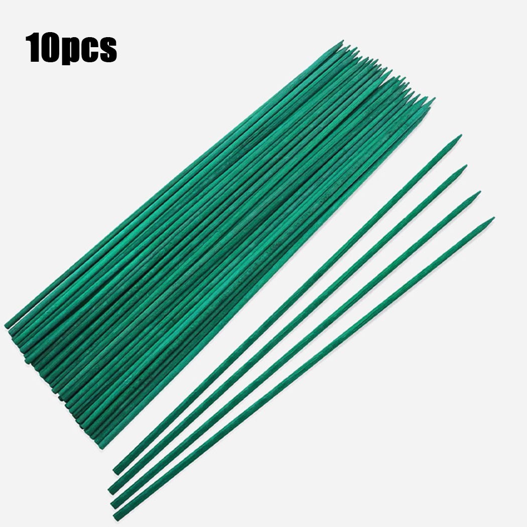 10 Chiếc 40Cm Xanh Vật Có Hỗ T - đánh giá và giá Plant Support Stake