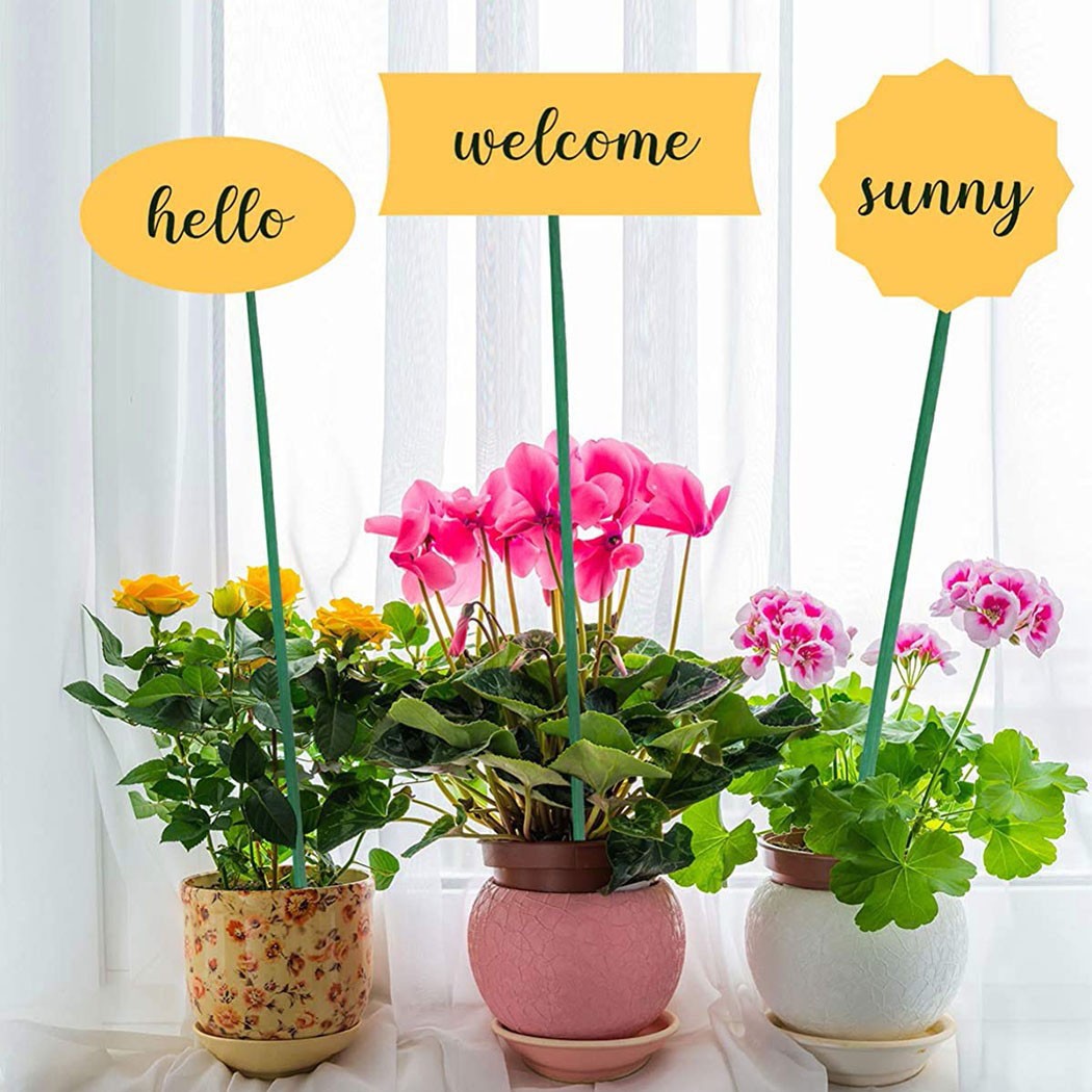 10 Chiếc 40Cm Xanh Vật Có Hỗ T - đánh giá và giá Plant Support Stake