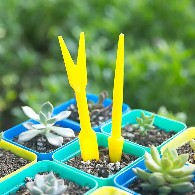 1/10Pcs Sowing Succulents Tran - đánh giá và giá Succulent Set