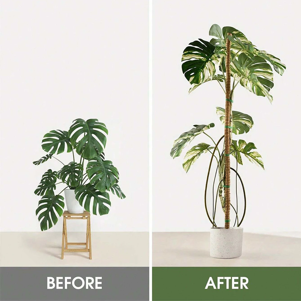 Monstera Plant Moss Pole Suppo - đánh giá và giá Plant Support Stake