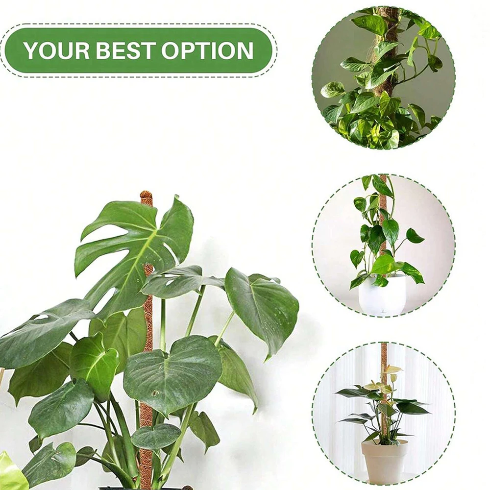 Monstera Plant Moss Pole Suppo - đánh giá và giá Plant Support Stake