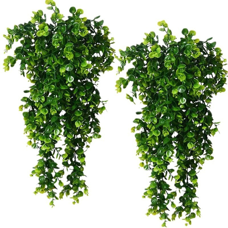 1Pcs Artificial 5Forks Rattan  - đánh giá và giá Snake Plant