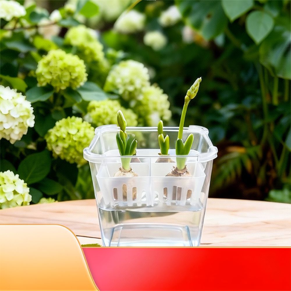 Hydroponic Vase For Tulip Lily - đánh giá và giá Indoor Plants