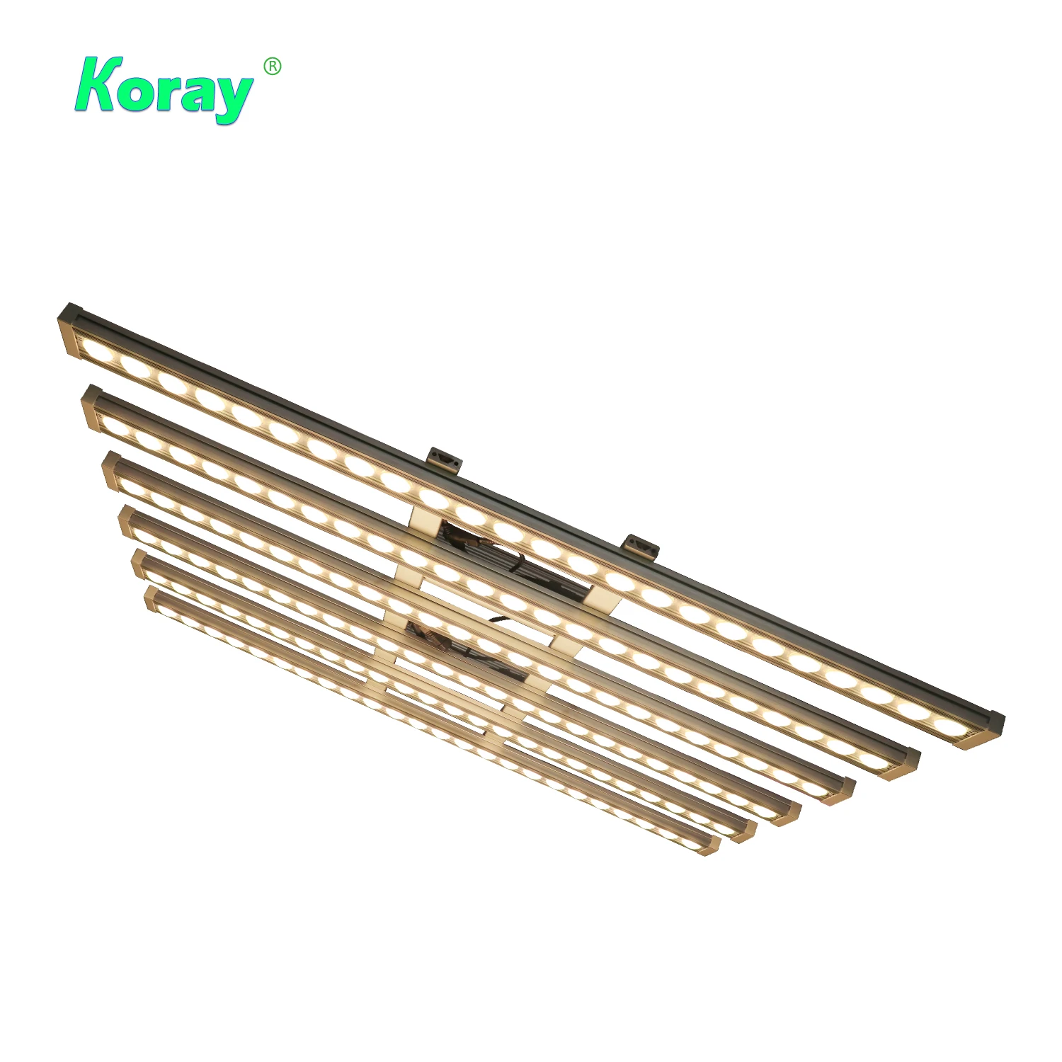 Koray 900W Indoor full spectru - đánh giá và giá Indoor Plants