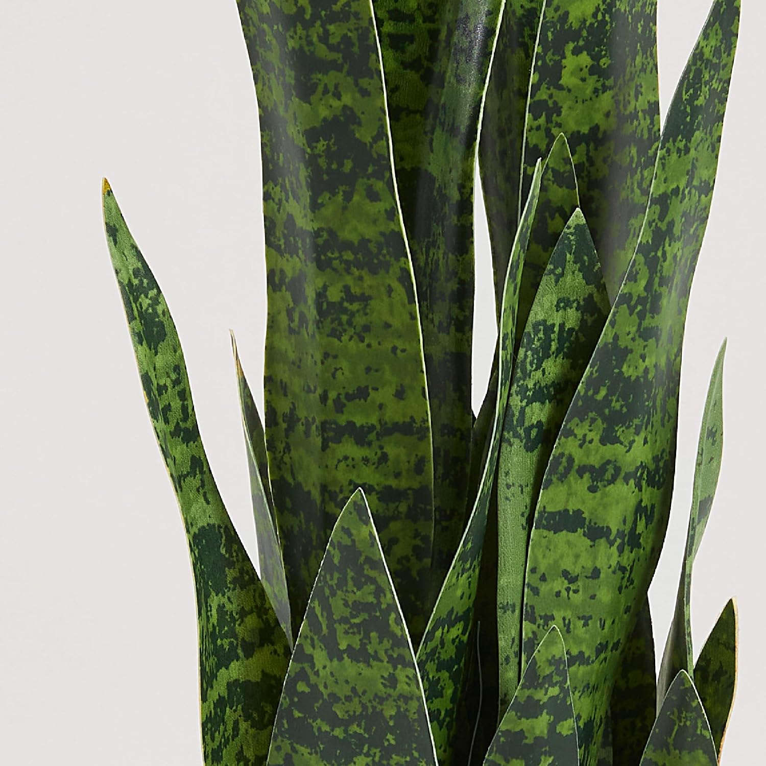 Artificial Snake Plant, 35in G - đánh giá và giá Snake Plant