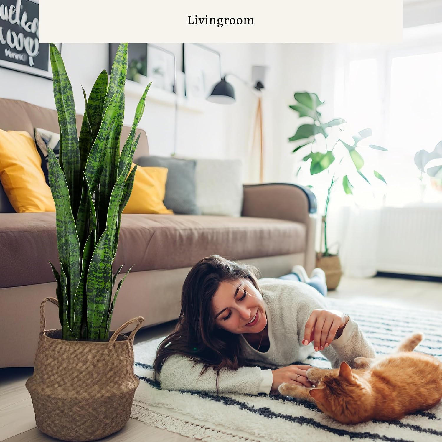 Artificial Snake Plant, 35in G - đánh giá và giá Snake Plant